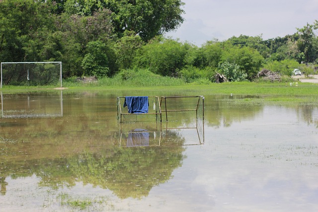 其他球员敲 其他球员敲