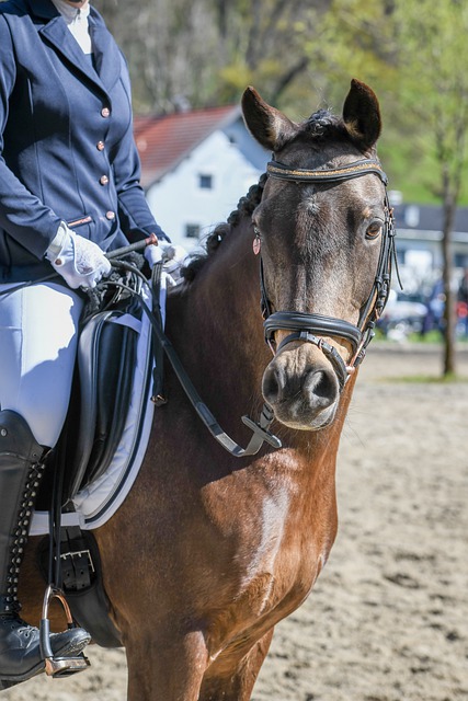 还不断模拟 还不断模拟
