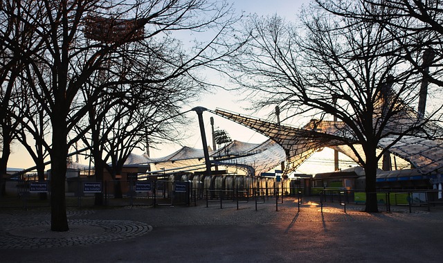 的闪光点 的闪光点